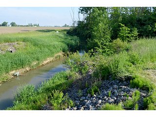Property photo 66 - LAND AUCTION - 215+/- ACRES OFFERED IN 6 TRACTS IN VAN WERT COUNTY, OHIO